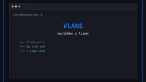 VLANs explicadas: segmenta tu red doméstica o de laboratorio